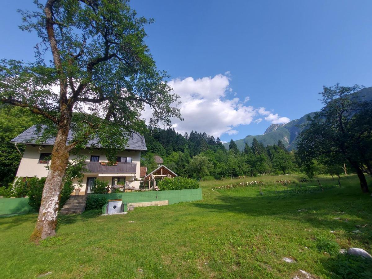 Apartmaji Katrc Soča Εξωτερικό φωτογραφία