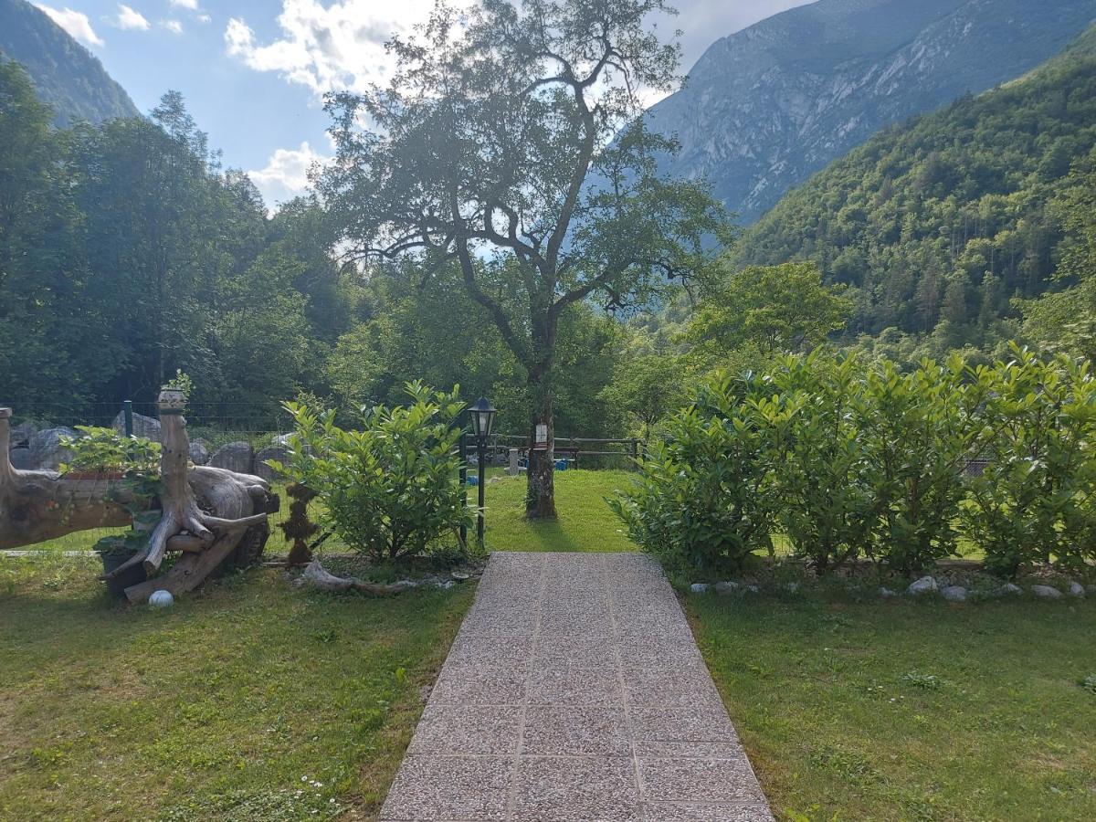 Apartmaji Katrc Soča Εξωτερικό φωτογραφία