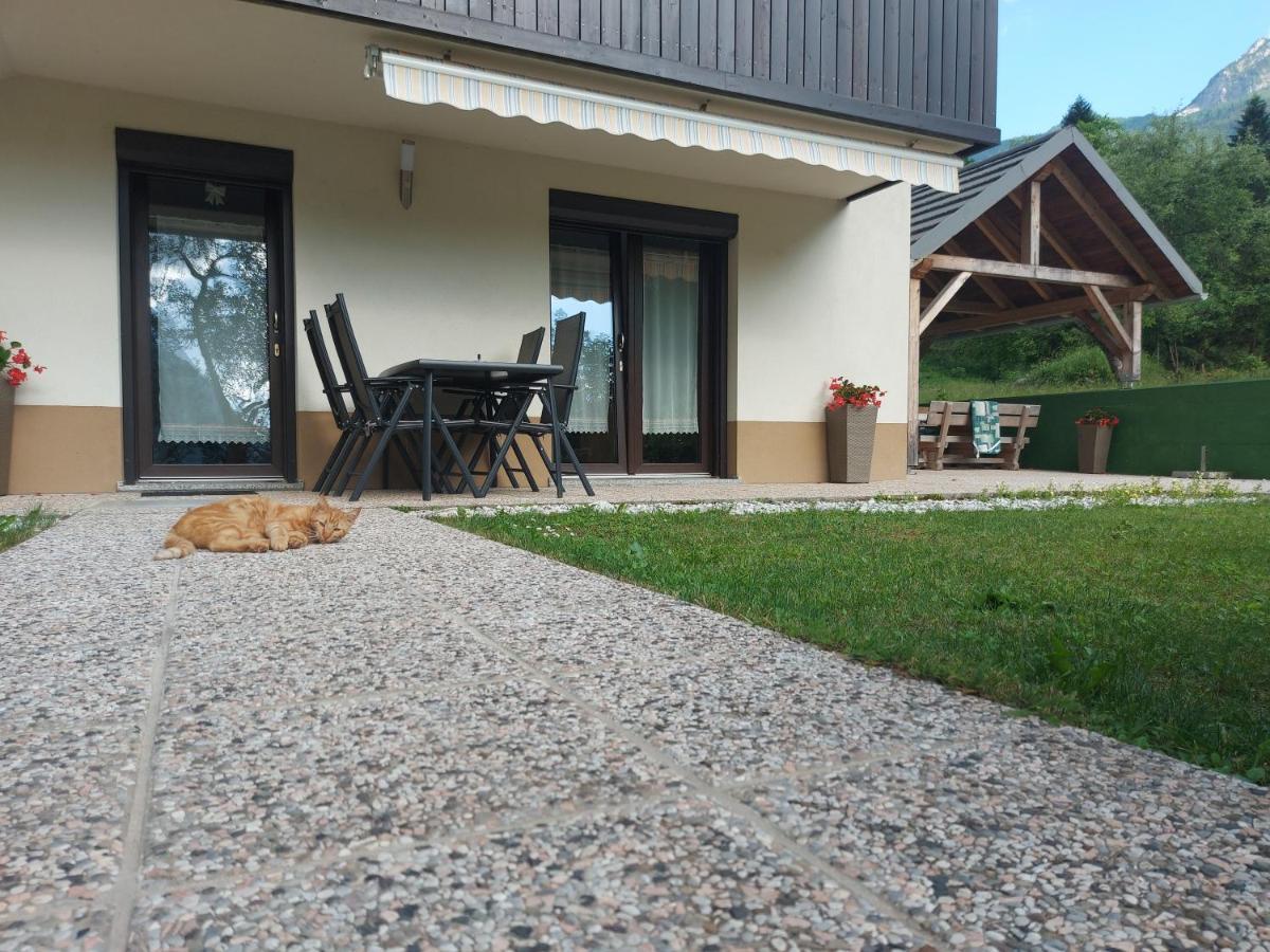 Apartmaji Katrc Soča Εξωτερικό φωτογραφία