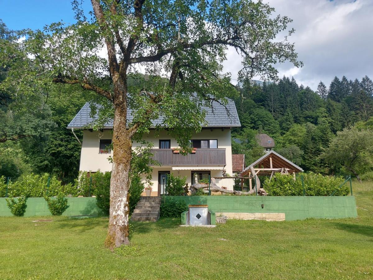 Apartmaji Katrc Soča Εξωτερικό φωτογραφία
